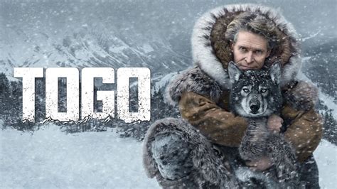 <b>Togo</b> (2019) The untold true story set in the winter of 1925 that takes you across the treacherous terrain of the Alaskan tundra for an exhilarating and uplifting adventure that will test the strength, courage and determination of one man, Leonhard Seppala, and his lead sled dog, <b>Togo</b>. . Togo full movie dailymotion